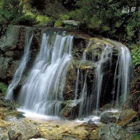 La Candela Cercedilla Exteriör bild